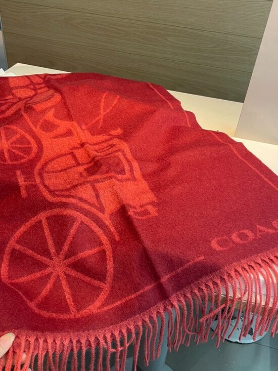 Coach Scarf - Picture 2 of 3